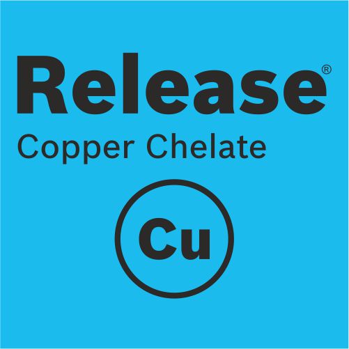 Release Copper Chelate