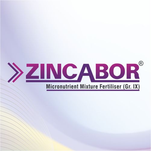 Zincabor
