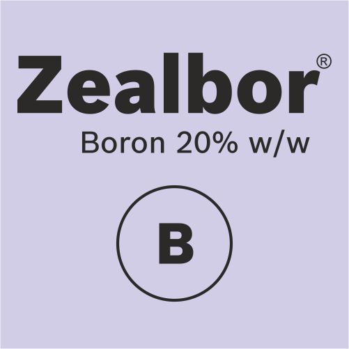 Zealbor