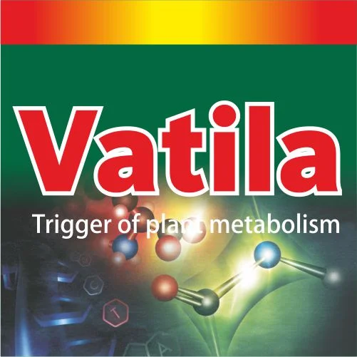 Vatila