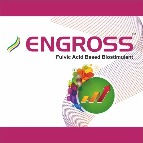 ENGROSS