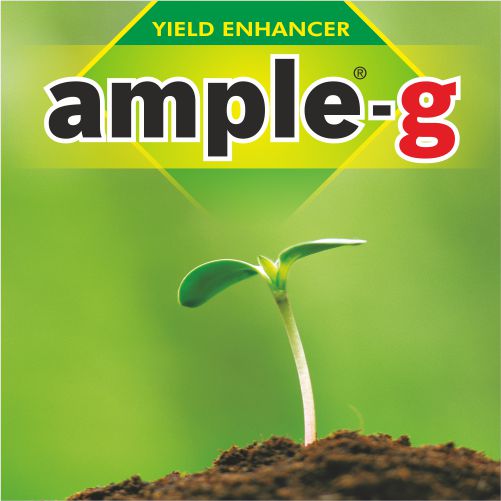 Ample-g