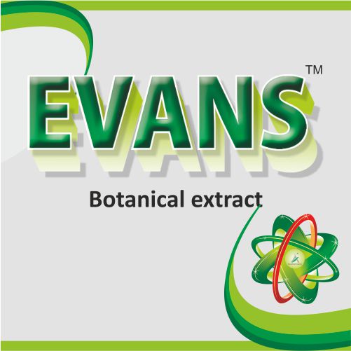 EVANS