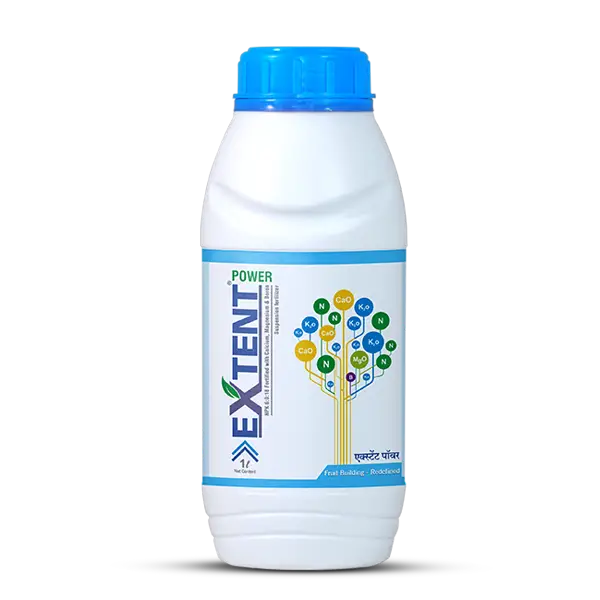 एक्स्टेंट पॉवर