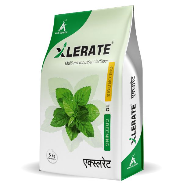 XLERATE