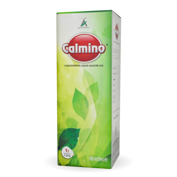 Calmino