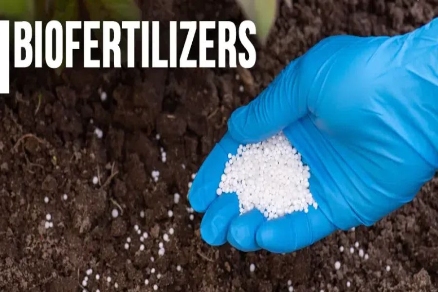 Top biofertilizer manufacturer in India