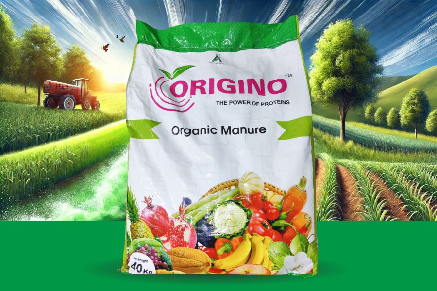 Best Organic Manure