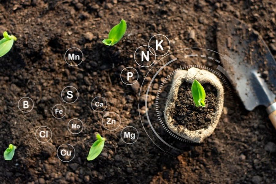 How to Increase Organic Carbon in Soil ?