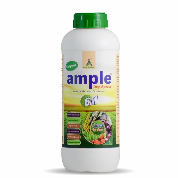 Ample (Drip Special)