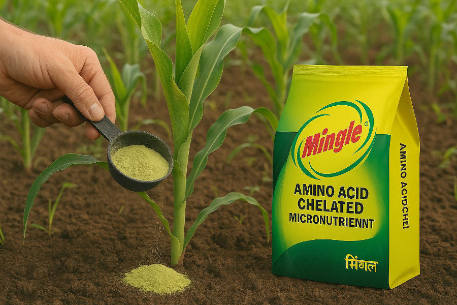 Amino Acid Chelated सूक्ष्म पोषक तत्वों के लाभ