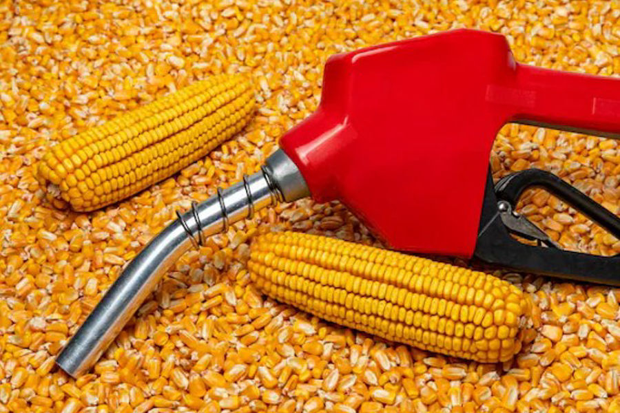 Maize for Ethanol: A New Opportunity for Indian Farmers