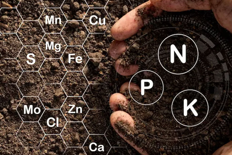 Integrated Nutrient Management: A Smarter Way to Nourish Soil
